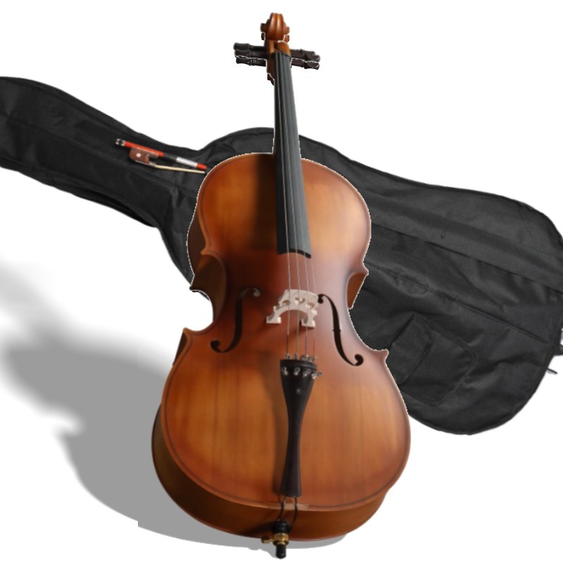 Musical Instrument In Orchestra - Violoncelle à panneau BASSWOOD de couleur
