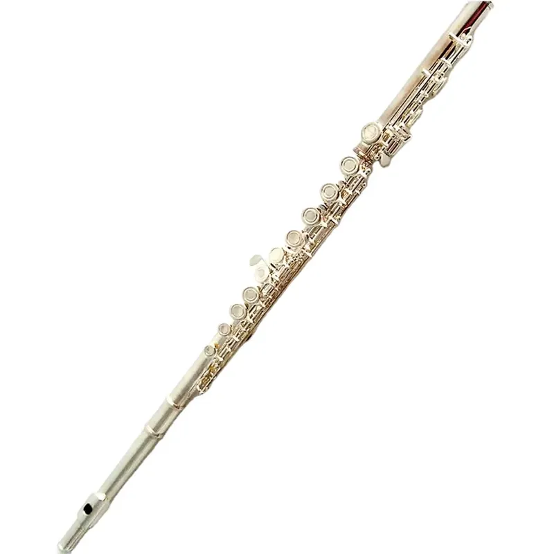 Musical Instrument In Orchestra - Flûte à bec ouvert plaquée argent