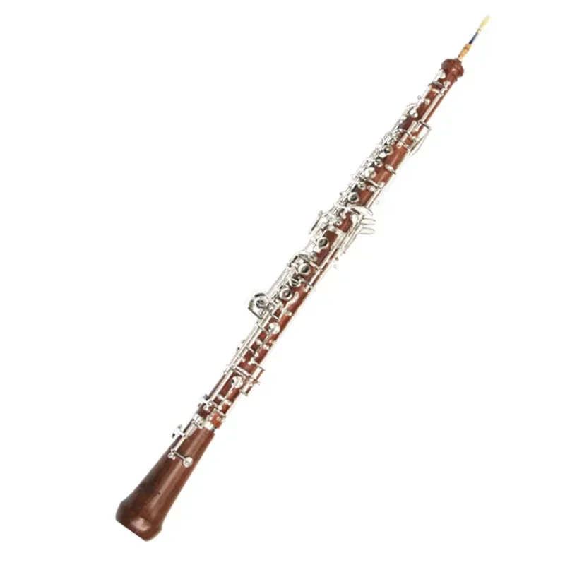 Musical Instrument In Orchestra - Oboe C en laiton blanchi et