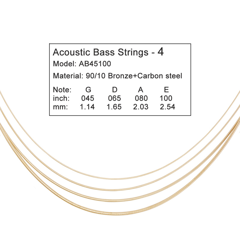 Cordes pour guitare acoustique - Musical Instrument With Strings avis et prix
