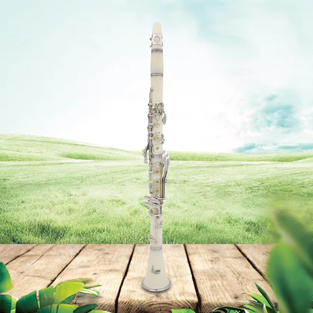 Clarinette Bb 17 clés avec étu - Musical Instrument In Orchestra avis et prix