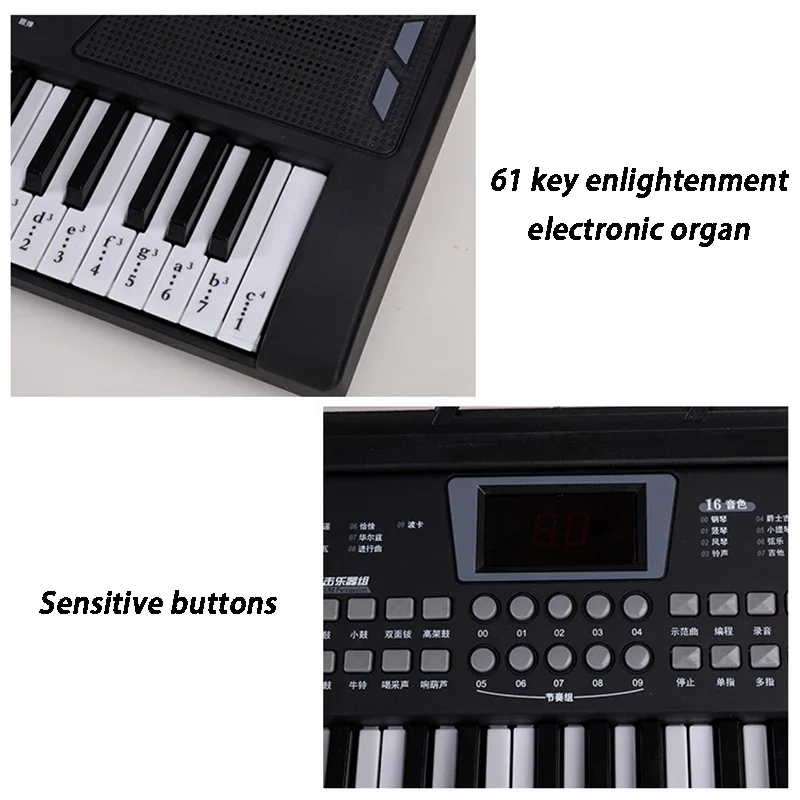 Orgue électronique portable po - Musical Instruments Names avis et prix