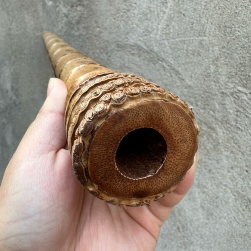 Flûte verticale chinoise en ba - Shakuhachi Bamboo Flute avis et prix