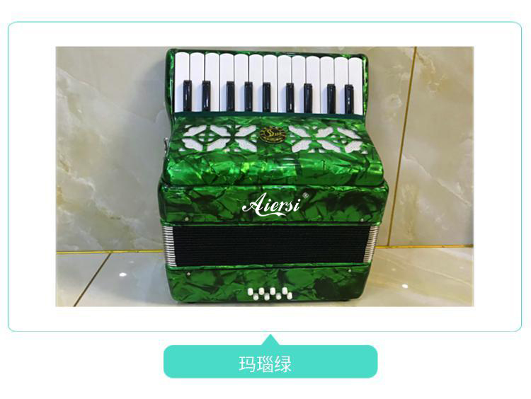 Accordéon Piano 8 Basses 22 To - Musical Instrument Keyboard Price avis et prix
