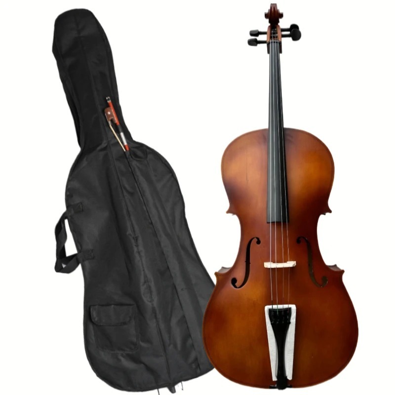 Violoncelle à panneau BASSWOOD - Musical Instrument In Orchestra avis et prix