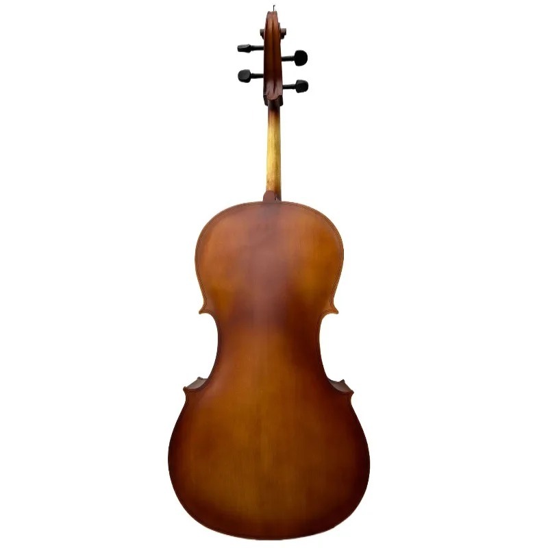 Violoncelle à panneau BASSWOOD - Musical Instrument In Orchestra avis et prix