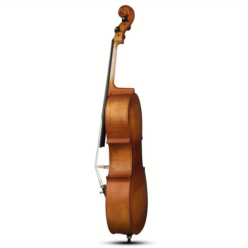 Violoncelle à panneau BASSWOOD - Musical Instrument In Orchestra avis et prix