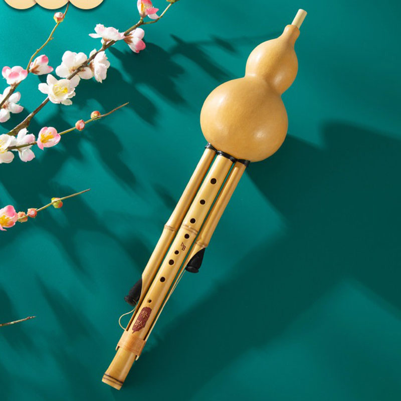Flûte Hulusi à 9 trous en bamb - Shakuhachi Bamboo Flute avis et prix