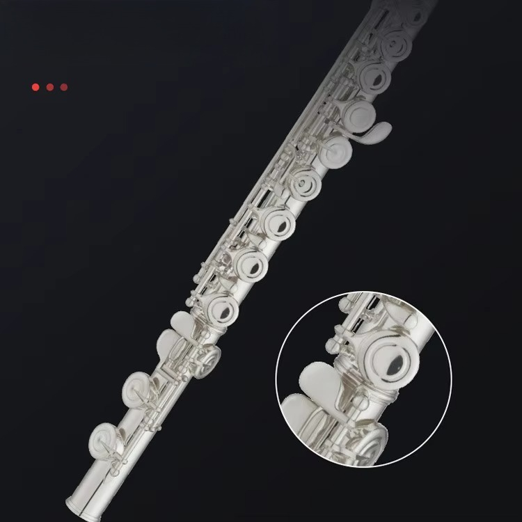 Flûte professionnelle en laito - Musical Instrument In Orchestra avis et prix