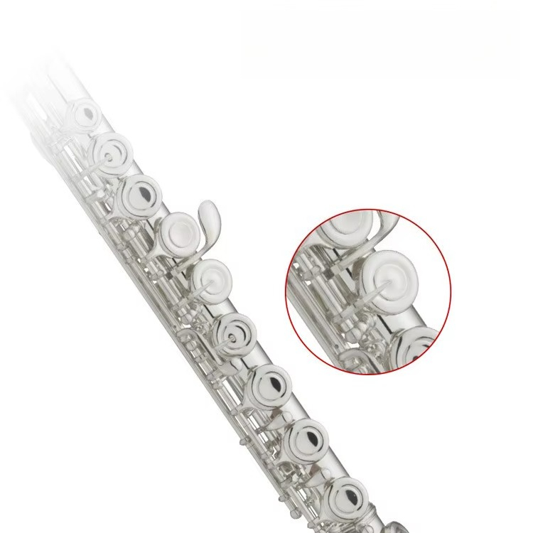 Flûte professionnelle en laito - Musical Instrument In Orchestra avis et prix