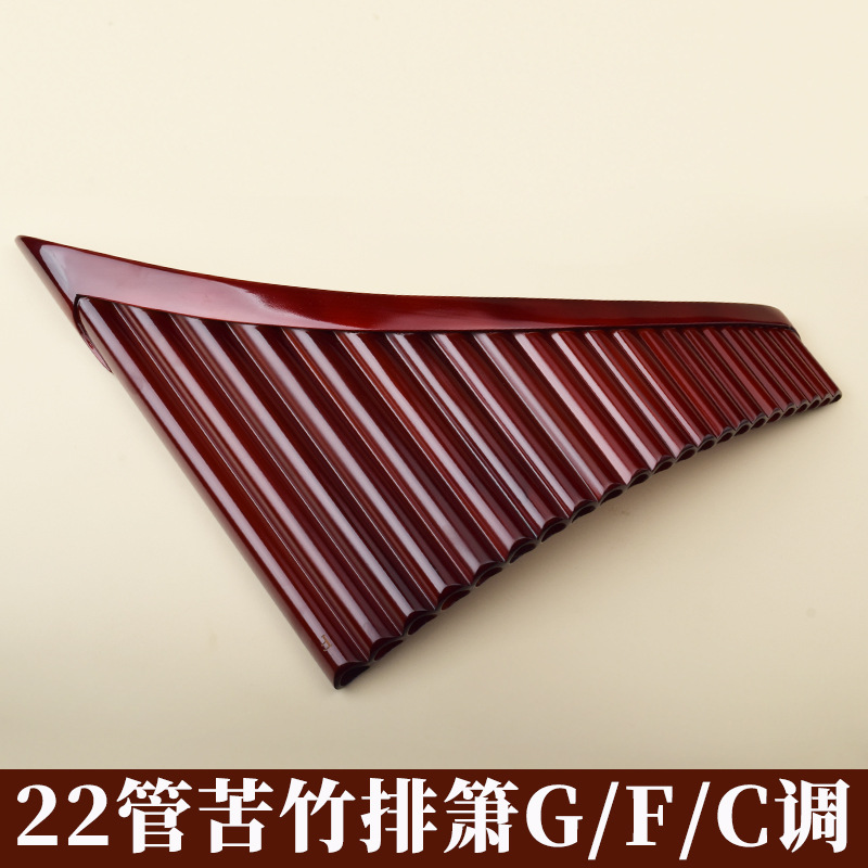 Flûte à bec à 22 cannelures, e - Musical Instrument Flute avis et prix