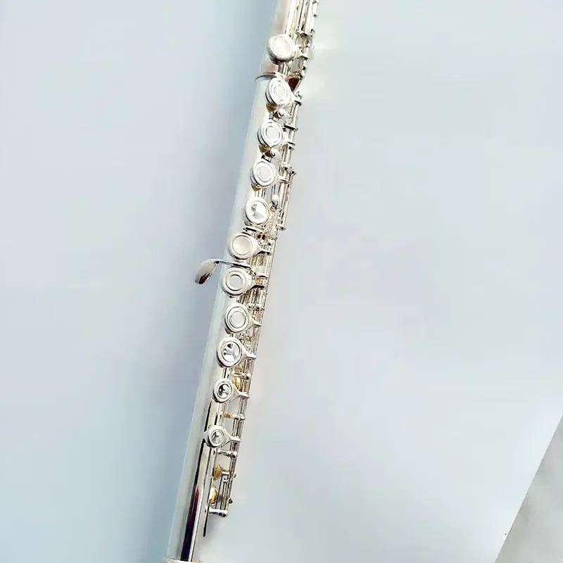 Flûte à bec ouvert plaquée arg - Musical Instrument In Orchestra avis et prix