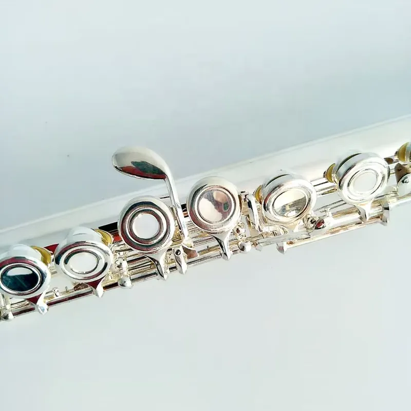 Flûte à bec ouvert plaquée arg - Musical Instrument In Orchestra avis et prix
