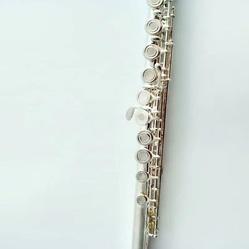 Flûte à bec ouvert plaquée arg - Musical Instrument In Orchestra avis et prix