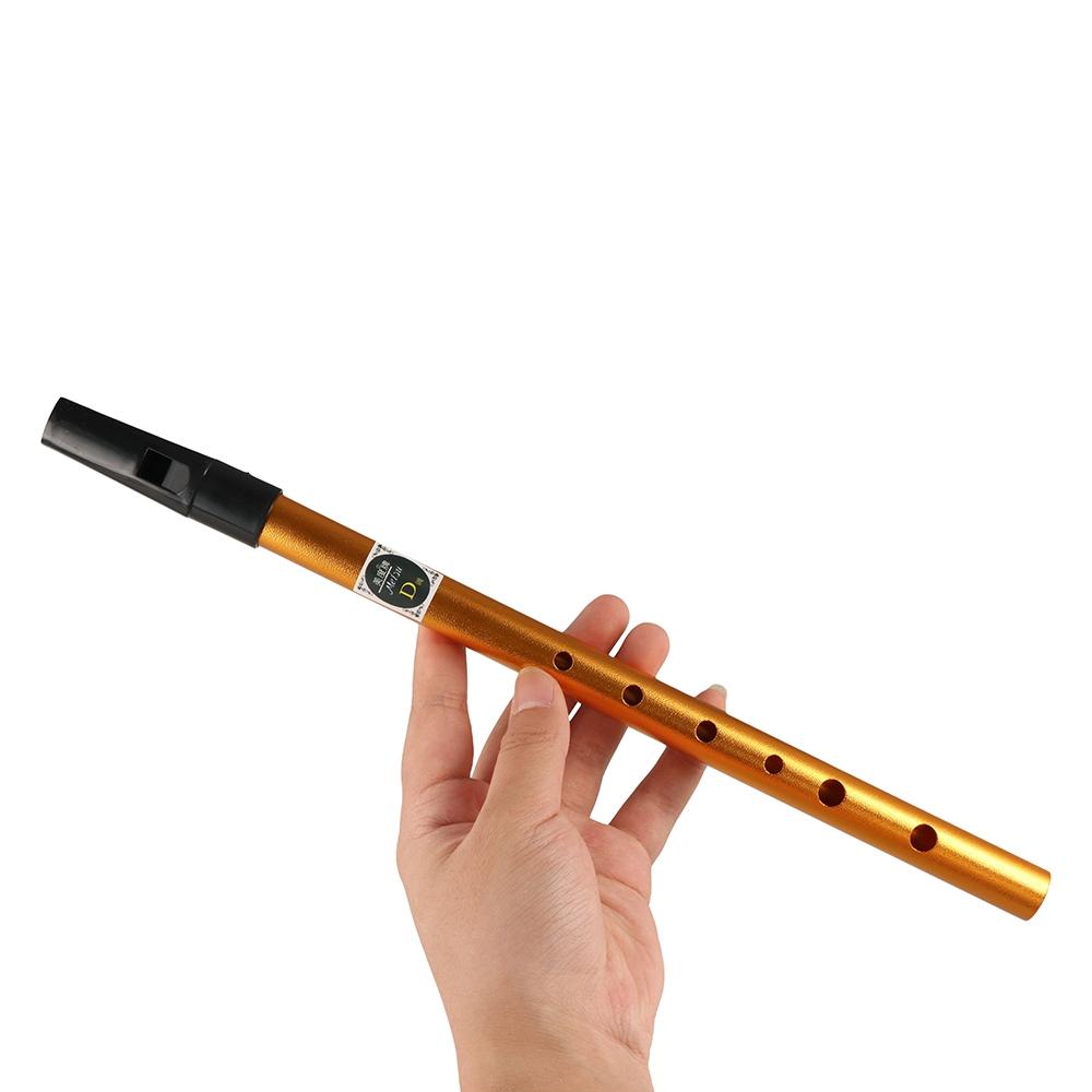 Flûte irlandaise professionnel - Musical Instrument Flute avis et prix