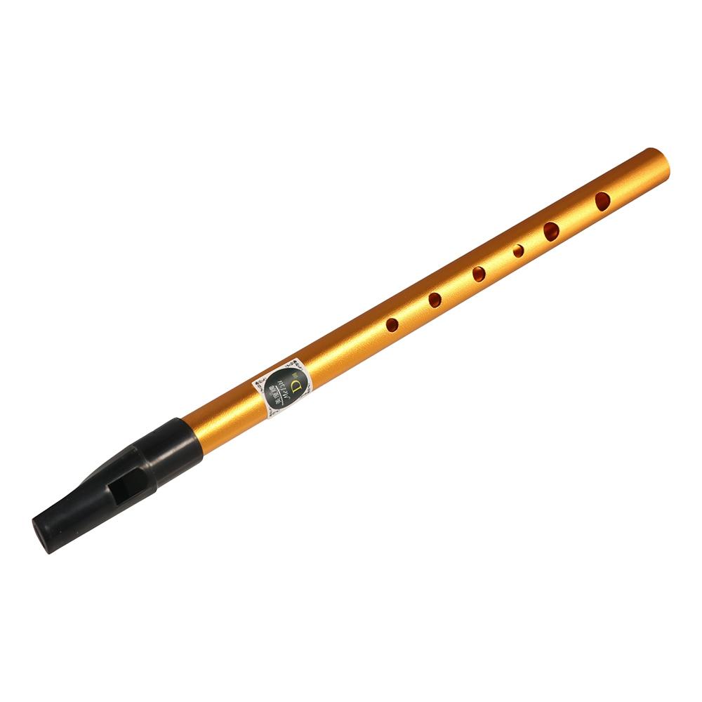 Flûte irlandaise professionnel - Musical Instrument Flute avis et prix